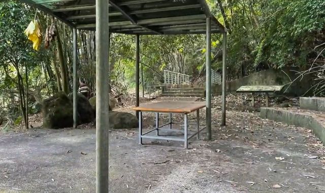 彩虹星光農園露營區|冬季採果體驗、唯美落羽松步道、親子草地營位-【自搭帳】秘境雨棚區 3Mx3M-2