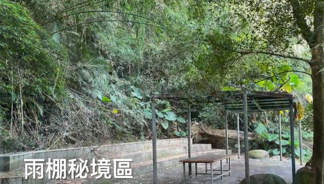 彩虹星光農園露營區|冬季採果體驗、唯美落羽松步道、親子草地營位-【自搭帳】秘境雨棚區 3Mx3M-3