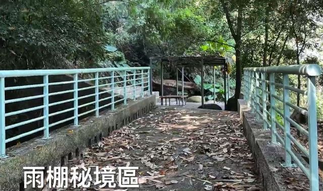 彩虹星光農園露營區|冬季採果體驗、唯美落羽松步道、親子草地營位-【自搭帳】秘境雨棚區 3Mx3M-4