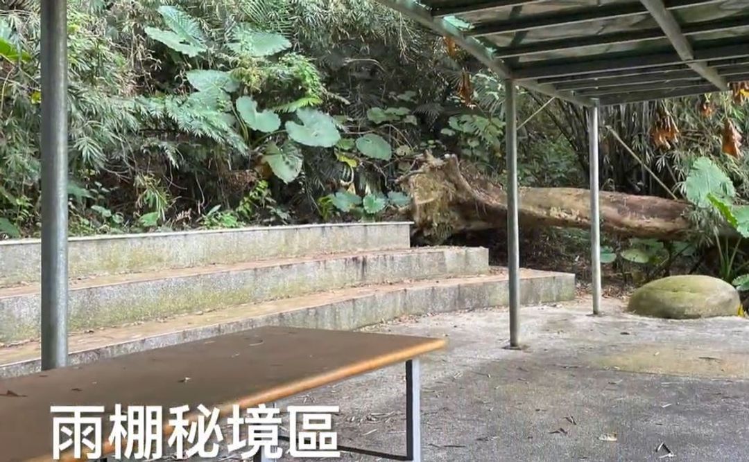 彩虹星光農園露營區｜冬季採果體驗、唯美落羽松步道、親子草地營位