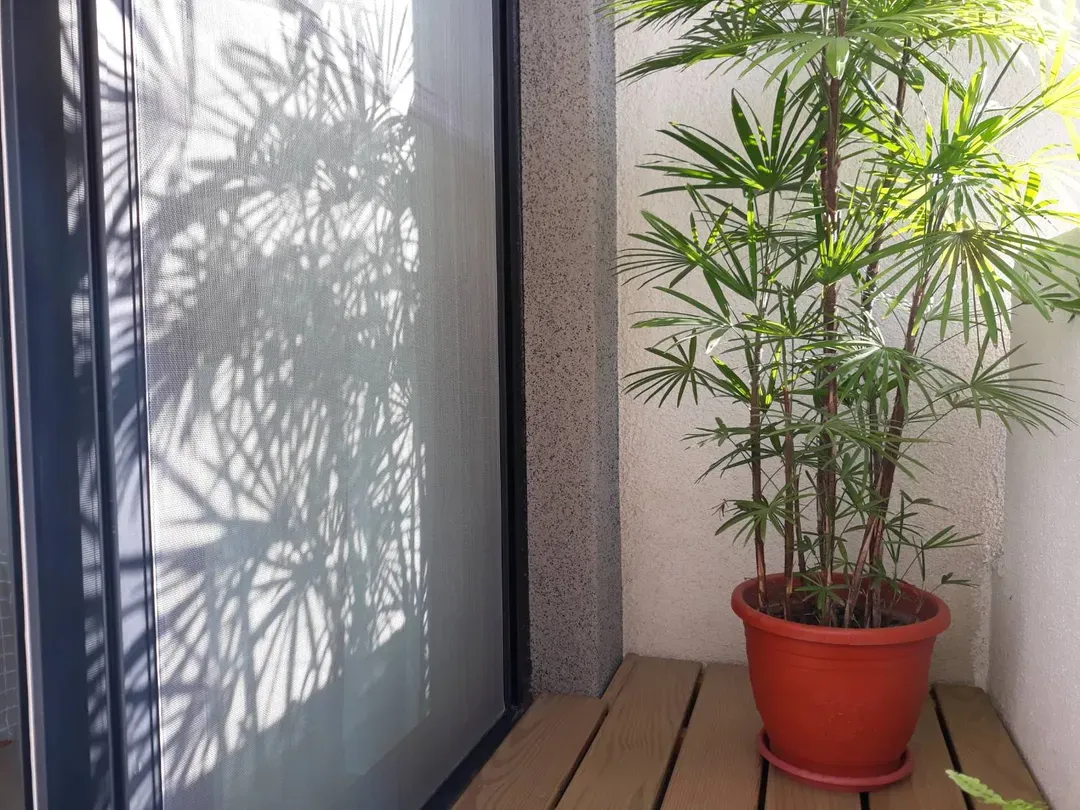June June House｜Tainan Private Guesthouse with Elevator｜2–14 Guests Whole House or Room Rental