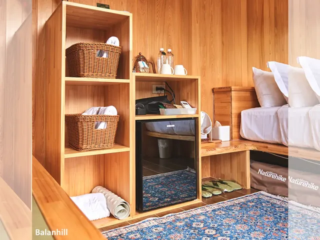 峇嵐杉丘BALAN HILL GLAMPING｜奢華球型星空帳、一泊三食、手作 DIY 體驗、寵物友善-【豪華露營】馬車帳上下舖區(A09~A11)-3