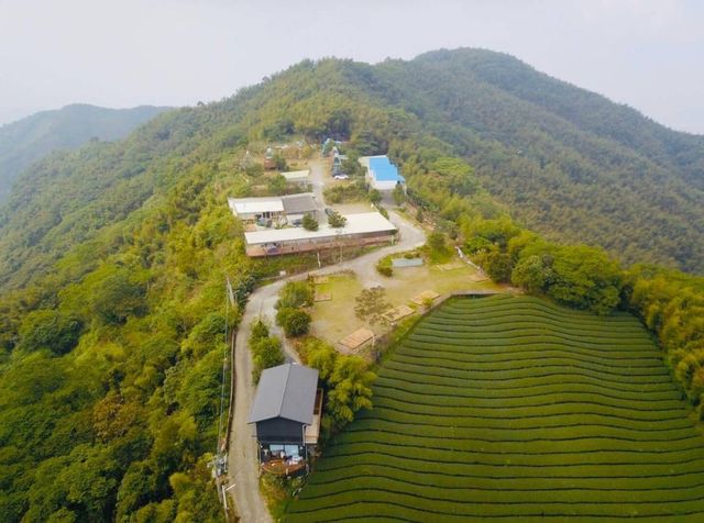 深山林內生態農場｜全新太空艙、狩獵帳、星空玻璃屋-晴耕雨讀四人房-7