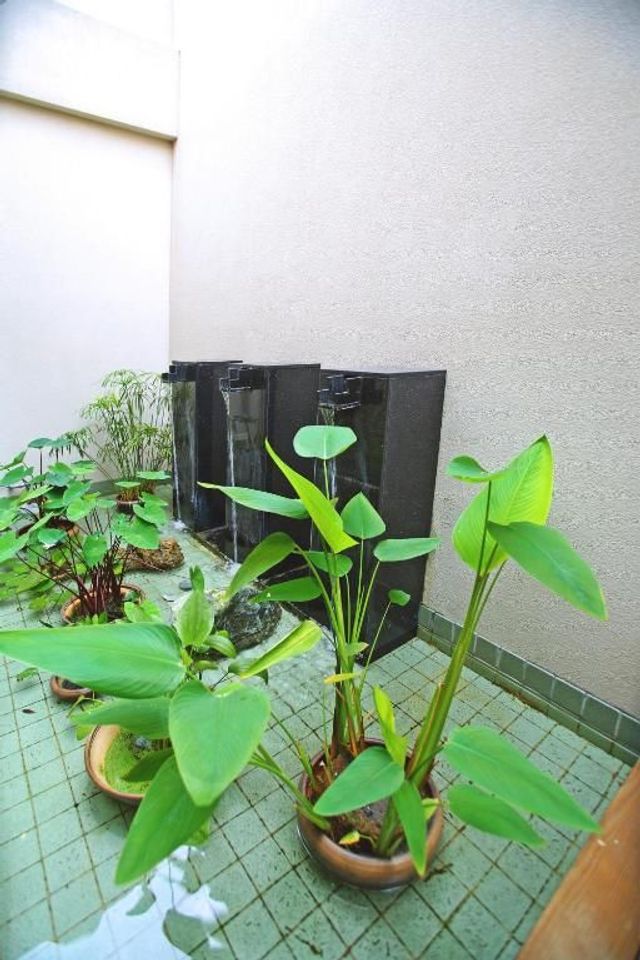 大里春天溫泉SPA旅館-Villa 4人房-禁煙(平日：17:00後/假日：19:00後入住)-3