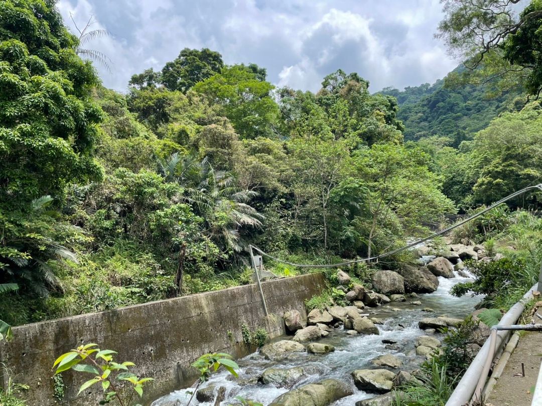 Nanyang62