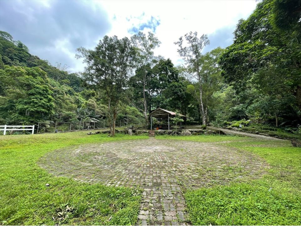 南洋62之森-【自搭帳】小廣場區 8MX5M｜可車宿-1