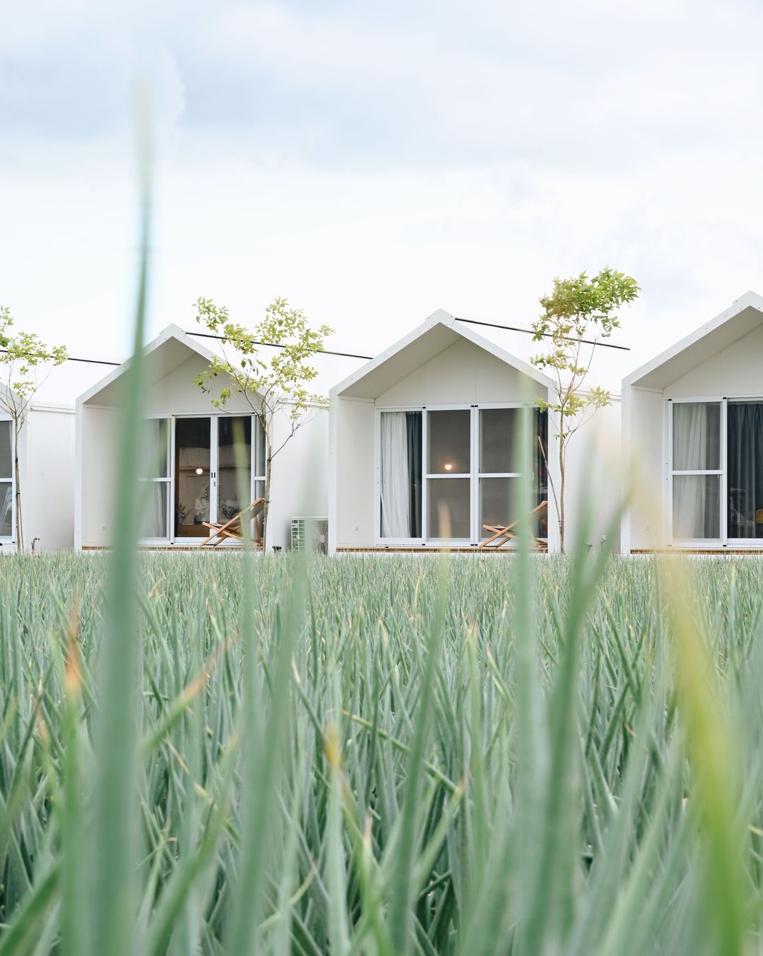 Sunwildbnb