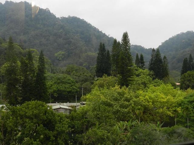 썬문레이크 용추엔 베드 앤 브렉퍼스트 (Sun Moon Lake Yongquan Bed and Breakfast)-VIP Double Room-6