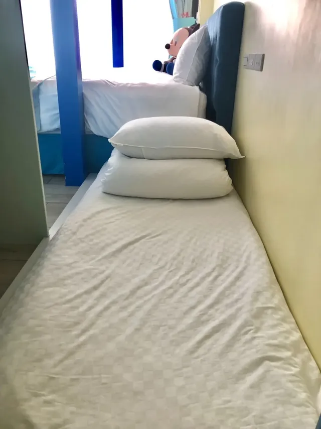 페어리테일 빌리지 이콜로지컬 팜 Fairy tale village ecological farm B & B-粉紅城堡民宿12人VILLA景觀湯屋房 l2間2人2間4人 l電動麻將l田中央大落地窗 l獨立進出口 l大溫泉湯屋 l獨立陽台可l烤肉l餵魚喝奶奶 l夕陽 l日出 l 不挑房-13