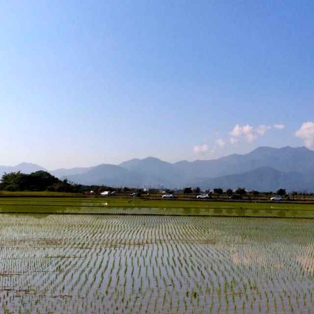 賞花賞鳥知名景點