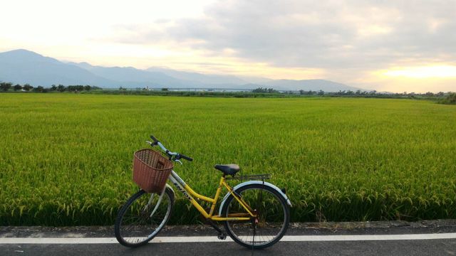 民宿門口-52甲溼地