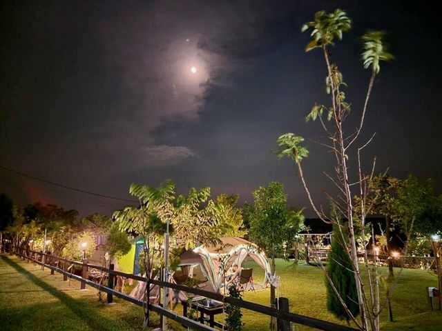 Mingyuan Starry Sky Camp-[Equipment Free] Temple Tent 4.5Mx4.5M-7