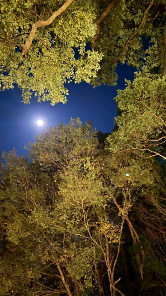 拾階莊園｜豪華露營體驗  近內灣老街-【露營】一階｜免裝備特六人露營體驗-3