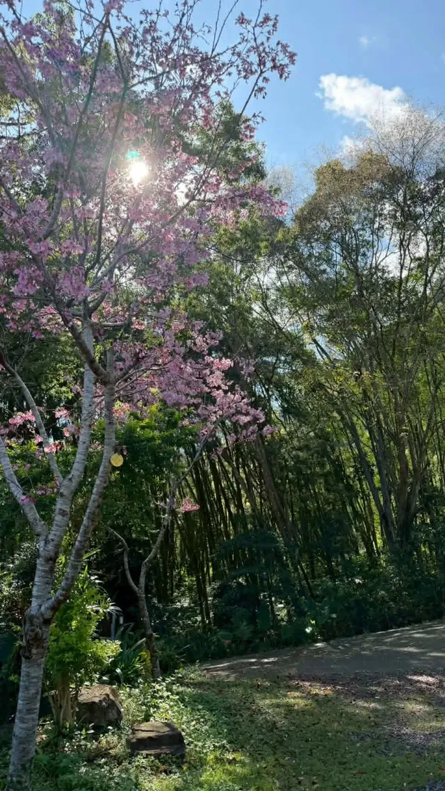 拾階莊園｜豪華露營體驗  近內灣老街-【露營】五階｜免裝備六人露營體驗-5