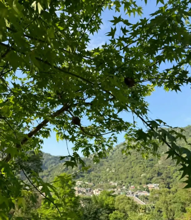 拾階莊園｜豪華露營體驗  近內灣老街-【露營】五階｜免裝備六人露營體驗-6