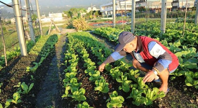 菜爺爺親子蔬宿 l 寓教於樂孩子的自然課-四人套房-5