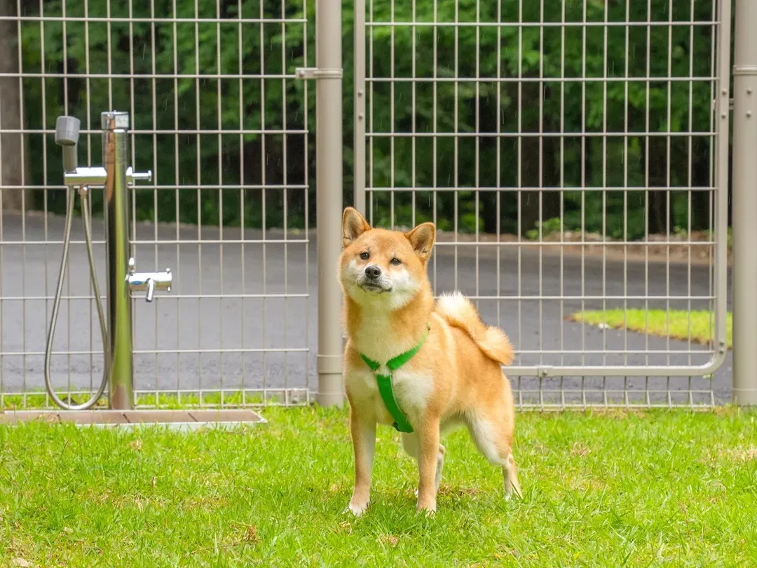 Rakuten STAY VILLA 阿蘇黑川-5