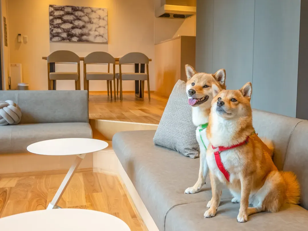 Rakuten STAY VILLA 阿蘇黑川-5
