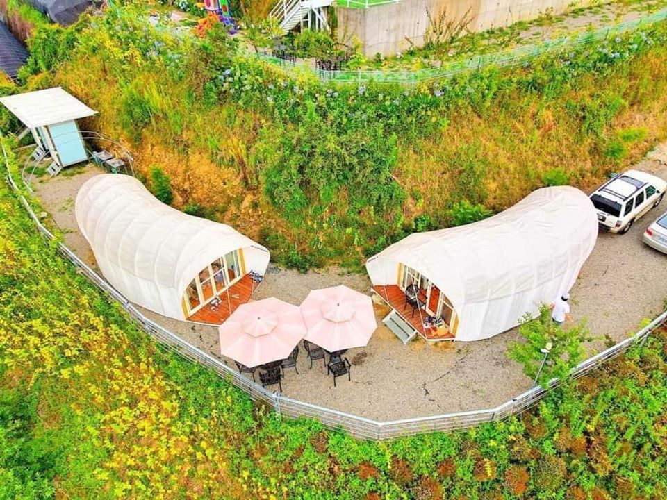 花鳥蟲鳴高山露營區|近清境、高山雲海美景輕鬆享受露營的美好假期!-【懶人露營】無敵景觀大蟲蟲帳篷-6