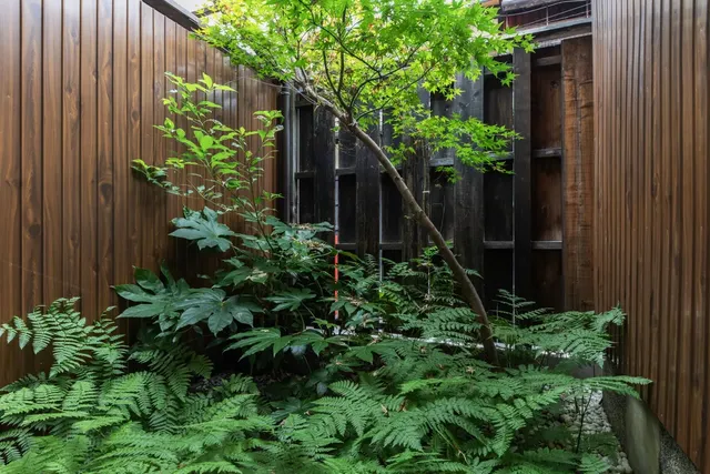 Shiki Homes | AKI 秋-Shiki Homes | AKI 秋-4