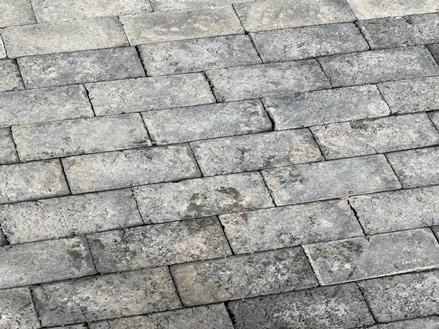 南洋62之森-【自搭帳】雨棚區 A  8MX6M｜可車宿-2