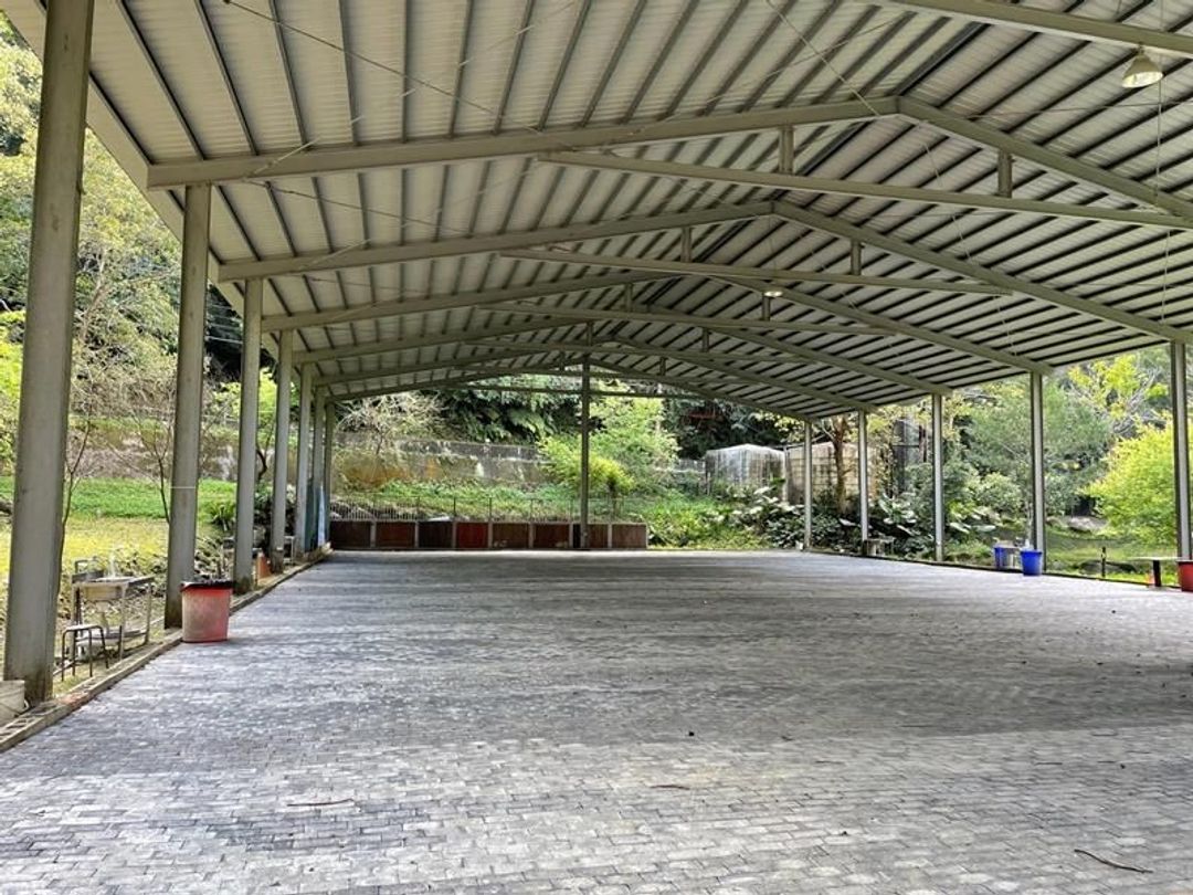 Nanyang62