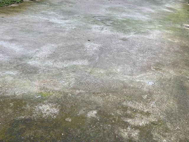 南洋62之森-【自搭帳】雨棚區 B 8MX6M｜可車宿-2