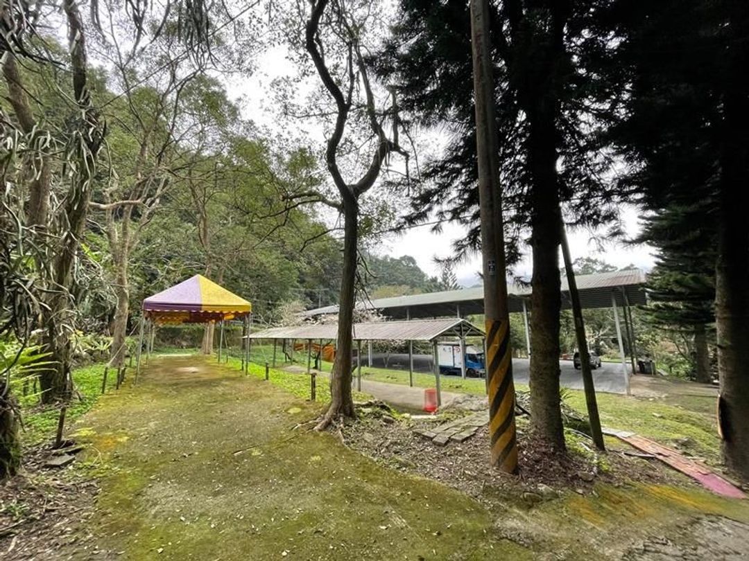 Nanyang62