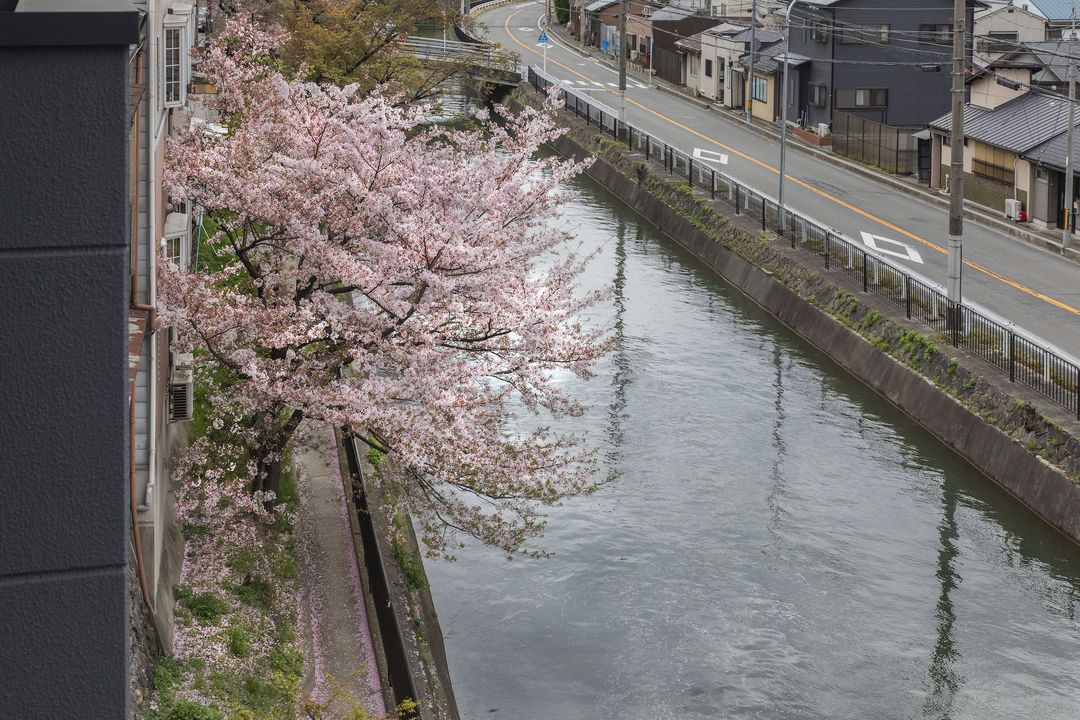 Tofukuji Riverside | 東福寺リバーサイド