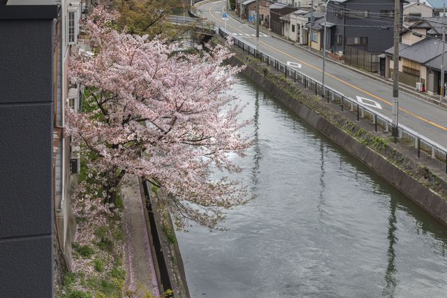 Tofukuji Riverside | 東福寺Riverside ｜東福寺站步行3分/近京都站-雙床房，河景【不挑房】-4