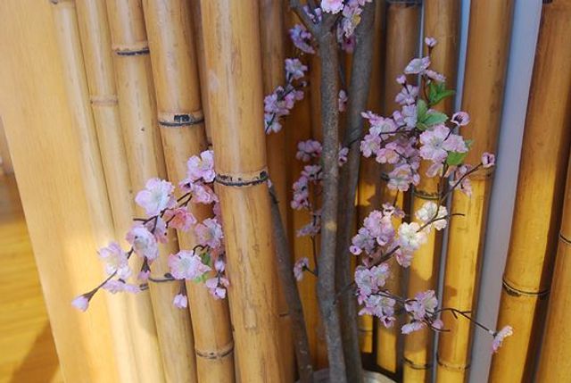 墾丁明君旅棧｜帆船石正對面-面海四人房-6
