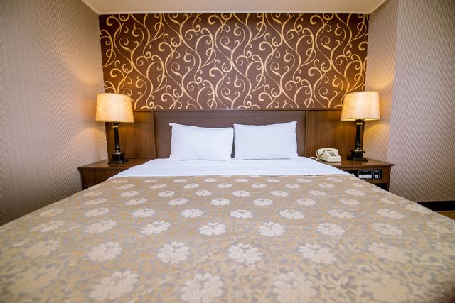 Hamilton Hotel-Deluxe Double Room-6