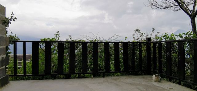 清境白熊屋民宿 l 可選購寵物友善房型｜請詳閱入住守則｜-標準雙人房-13