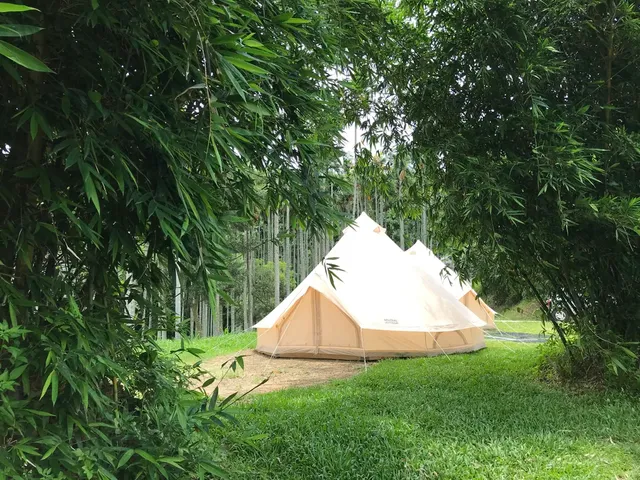 原版鐘型帳，可住4-6人