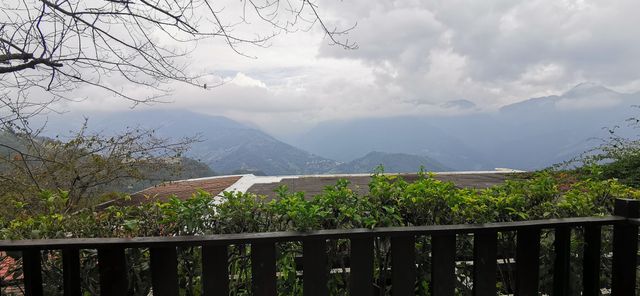 清境白熊屋民宿 l 可選購寵物友善房型｜請詳閱入住守則｜-標準四人房-12