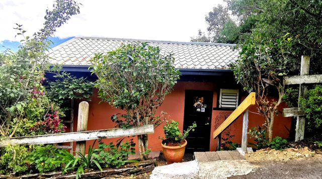 清境白熊屋民宿 l 可選購寵物友善房型｜請詳閱入住守則｜-獨棟景觀家庭房-4