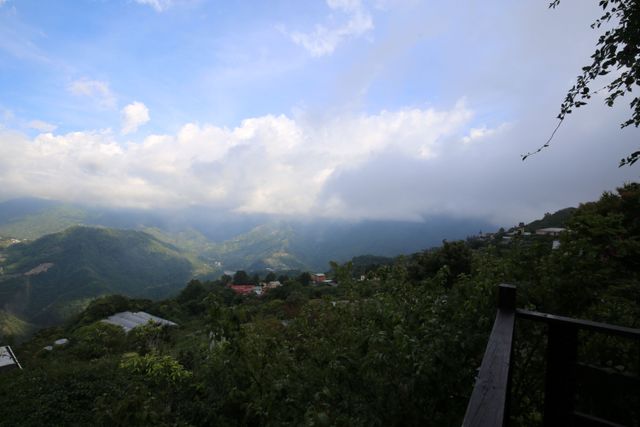 清境白熊屋民宿 l 可選購寵物友善房型｜請詳閱入住守則｜-景觀樓中樓-2