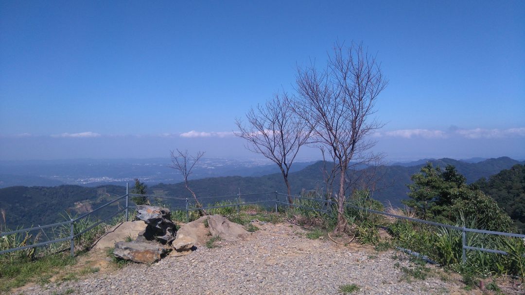 相思园景观露营区｜星空泡泡屋！云海星空双重享受、海陆火锅飨宴