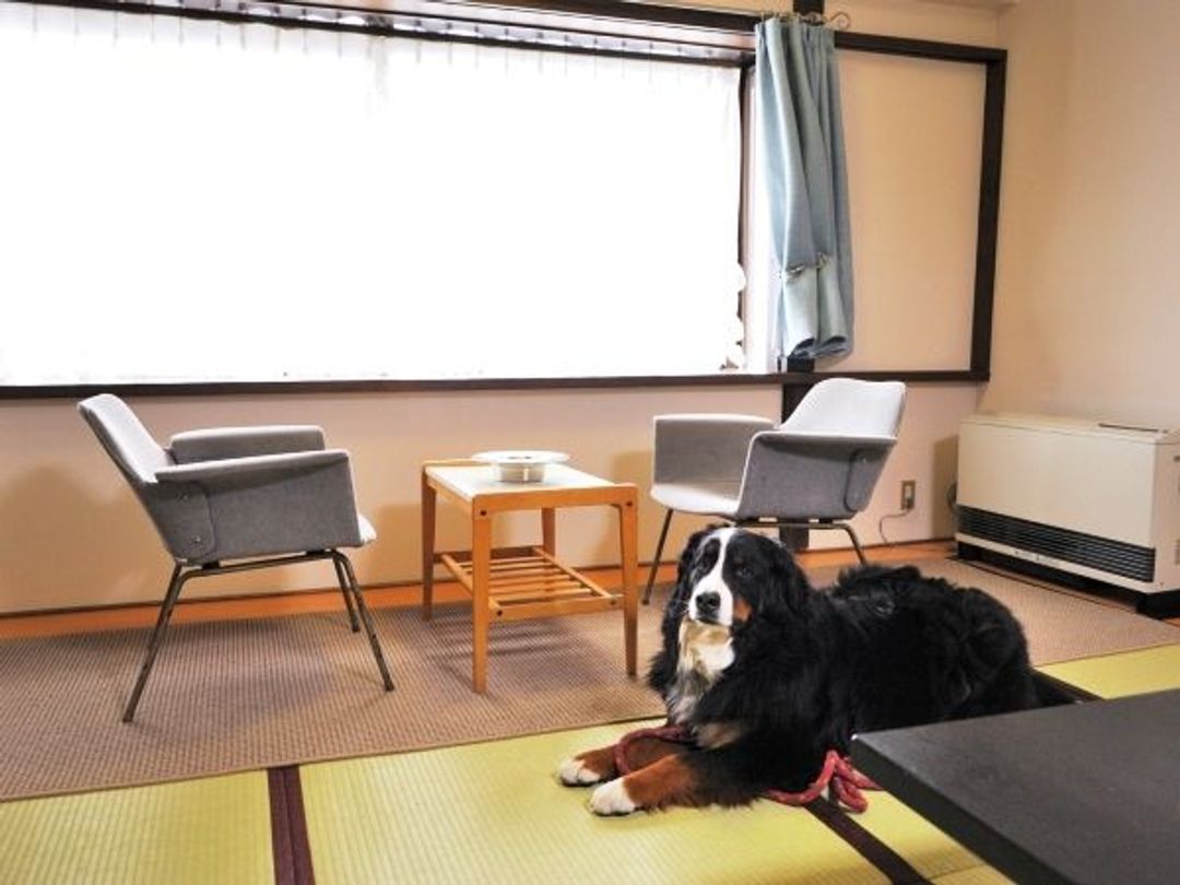 Zao Onsen YOUSHITSINOYU