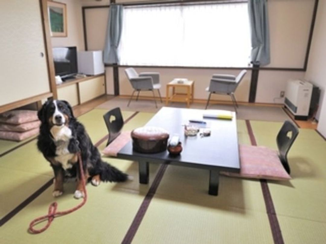 Zao Onsen YOUSHITSINOYU