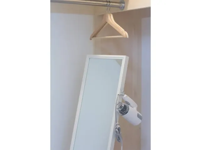 Mirror in room/房内全身镜
