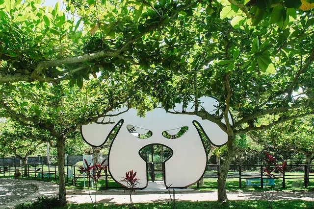 寵物樂園
