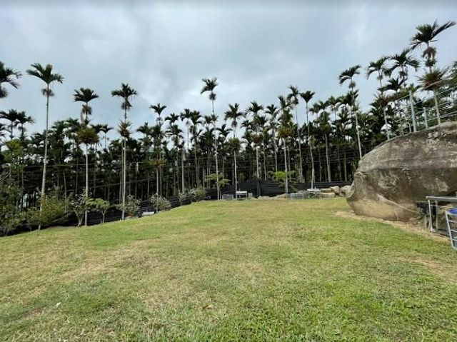 Meadow Champion Camping Area-【Self-accommodation】Grassland in Area A2 5Mx8M-5