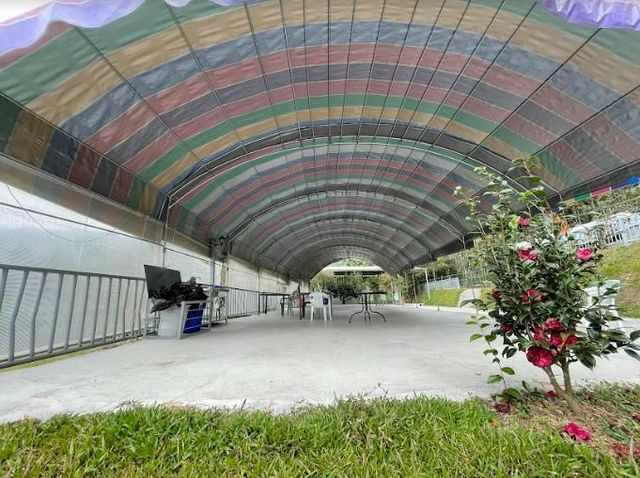 Meadow Champion Camping Area-[Self tent] Canopy in area B-1