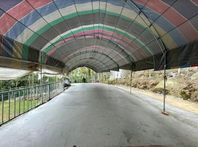 Meadow Champion Camping Area-[Self tent] Canopy in area D-3