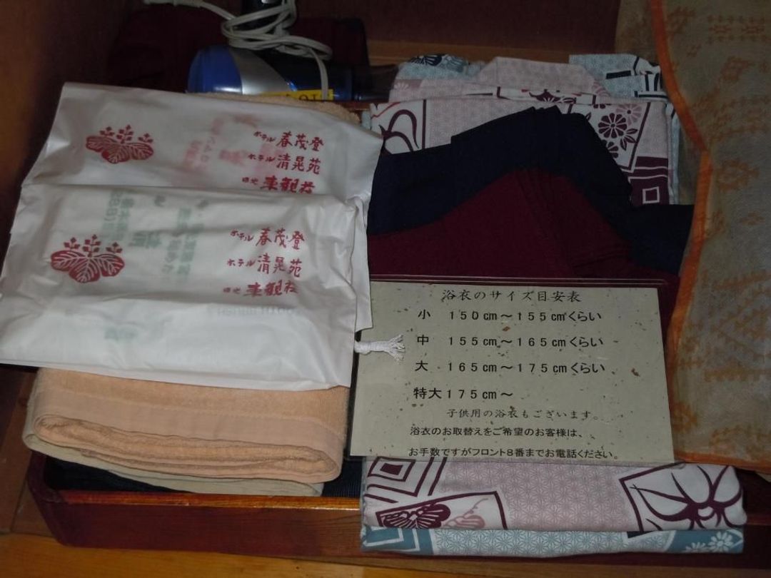 日光温泉旅馆 清晃苑｜东照宫步行5分/露天温泉
