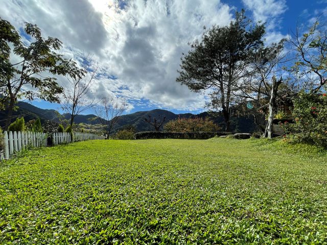 春露茶園｜獨家8折起！高海拔、神殿帳、親子露營-【自搭帳】A區草皮｜4M*7M-2