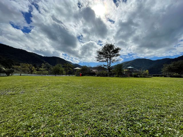 春露茶園｜獨家8折起！高海拔、神殿帳、親子露營-【自搭帳】A區草皮｜4M*7M-3