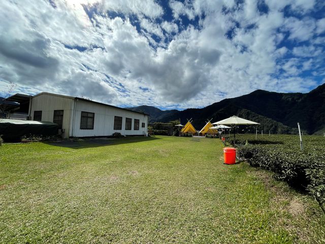 春露茶園｜獨家8折起！高海拔、神殿帳、親子露營-【自搭帳】C區草皮｜4M*7M-4