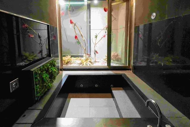 湖山風景旅舘-高級雙人房-附車庫-9